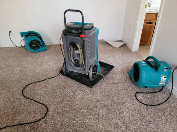 Water damage restoration insurance claims in Chester, MD