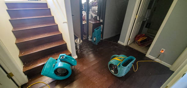 Best Water damage contractors near me  in Chester, MD