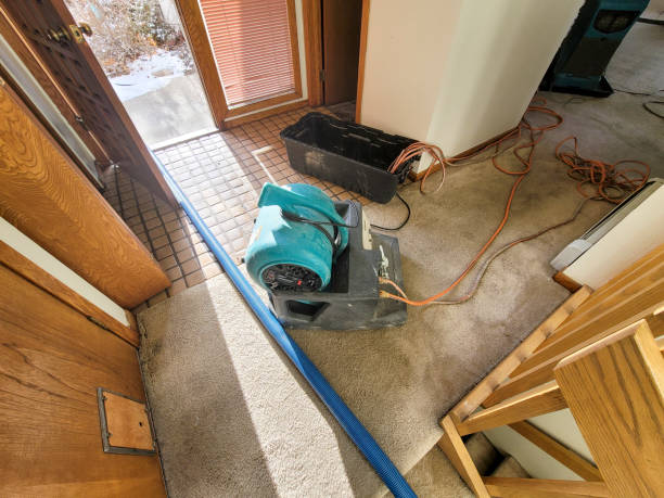 Best Local water damage restoration  in Chester, MD