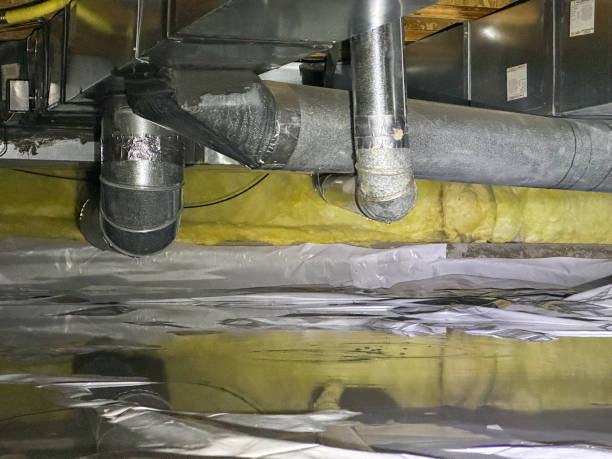Best 24/7 water damage repair  in Chester, MD