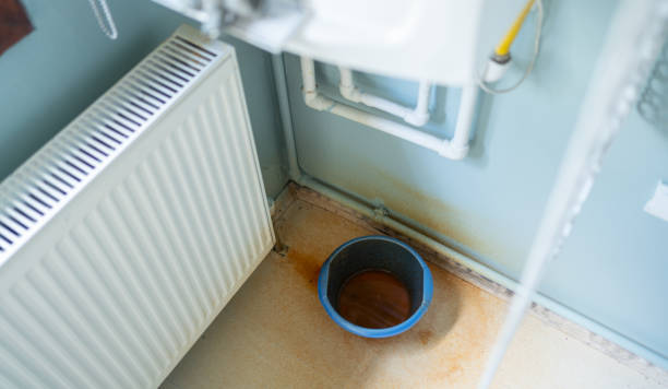 Best Mold removal after water damage  in Chester, MD