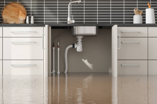 Best Emergency water extraction  in Chester, MD