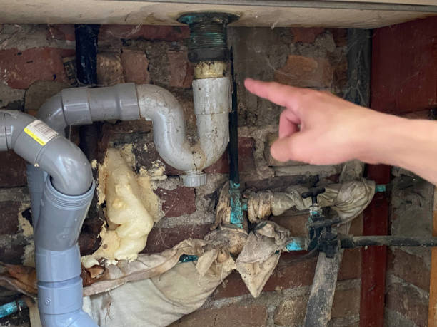 Best Flood damage cleanup  in Chester, MD