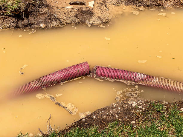 Best Professional water damage repair  in Chester, MD